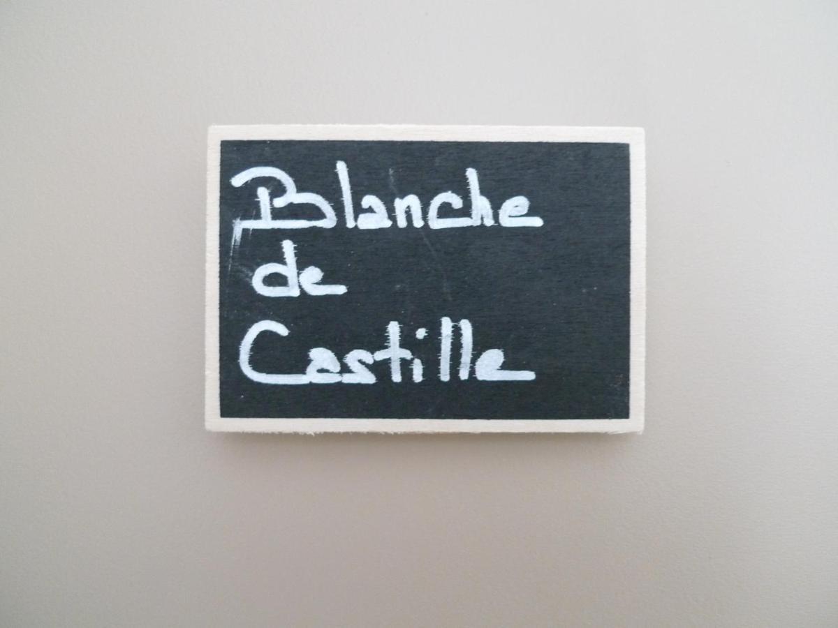 O 36 Rempart Sud B&B Aigues-Mortes Exterior foto